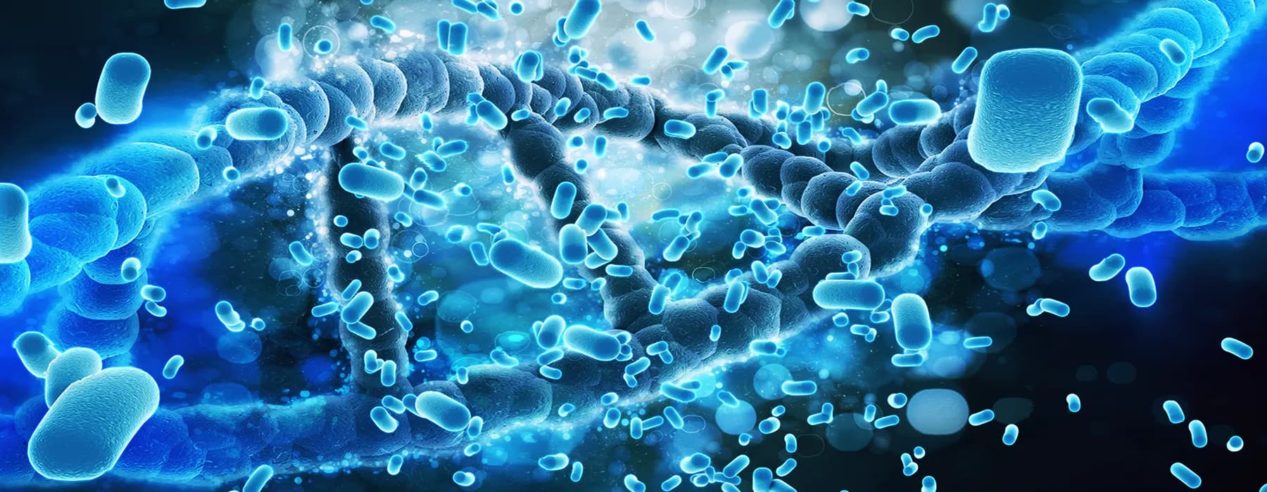 blog image banner